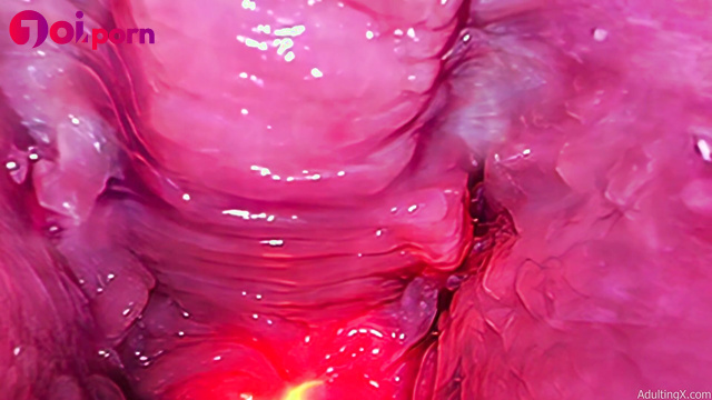 Look what's inside her pink vagina (dirty talk JOI) - ADULTING